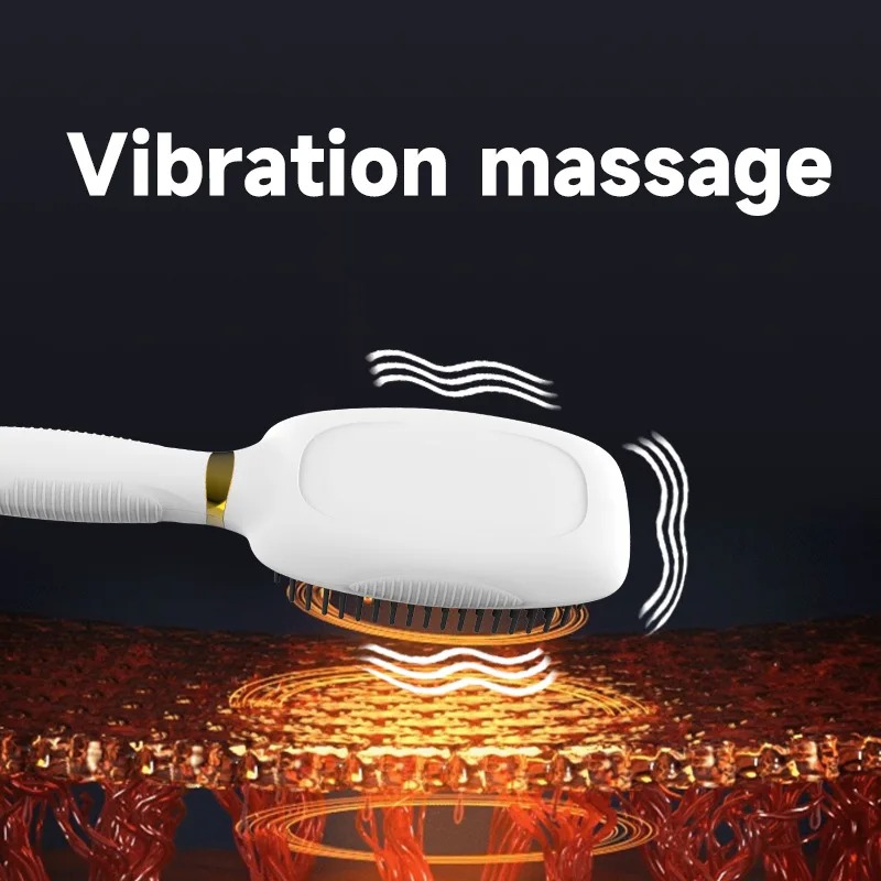 Electric Anti static Hair Comb - đánh giá và giá Hair Care For Hair Growth
